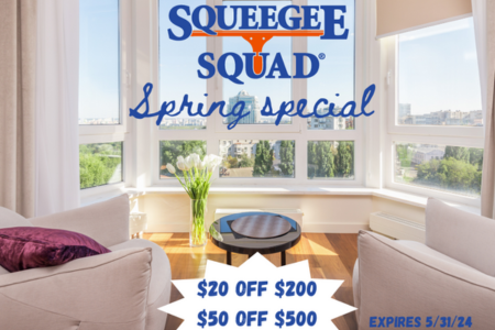 Squeegee Squad Window & Power Washing - St. Cloud Spring Special