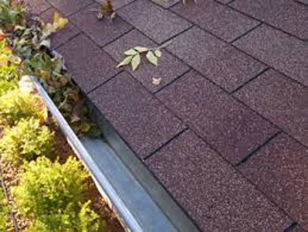 Residential Gutter Cleaning Services Minneapolis St Paul MN - Squeegee Squad