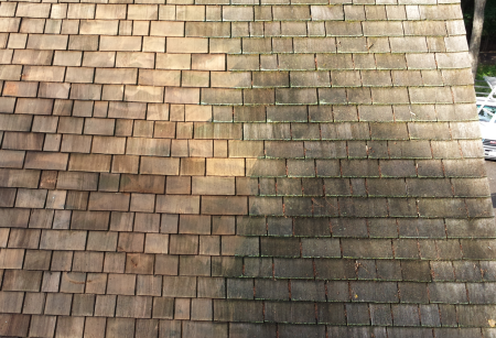 Roof Tiles Before and After Professional Pressure Washing Service Osceola County FL