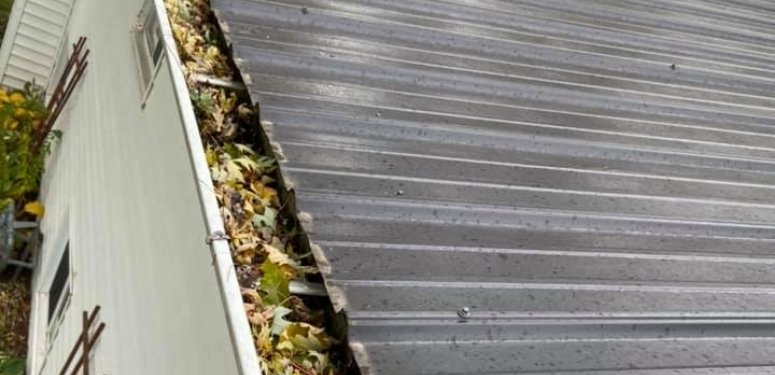Naperville-Gutter Cleaning Services