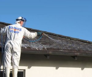 Roof Cleaning Service Squeegee Squad - Omaha NE
