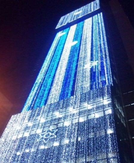 Holiday Light Installation Service Downtown Chicago IL - Squeegee Squad