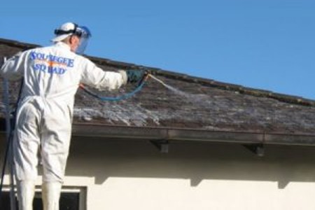 Roof Cleaning Service Springfield MO - Squeegee Squad