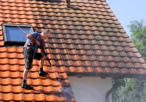 Window Cleaning & Pressure Washing Services - Squeegee Squad - clay roof