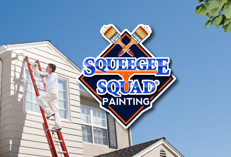 Squeegee Squad window cleaning, pressure washing and painting - Rochester MN